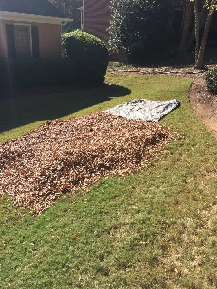 Affordable landscape design in Gillette, WY - C&T Mechanics and More