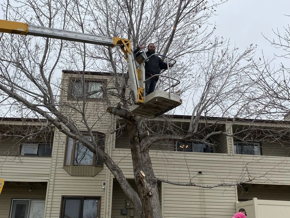 Custom landscape design experts serving Gillette, WY - C&T Mechanics and More