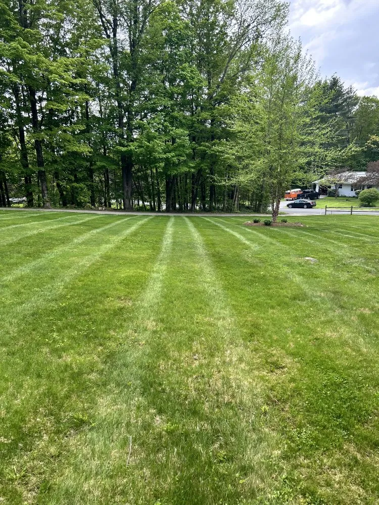 Trusted yard maintenance in Claremont, NH - CT Property Solutions