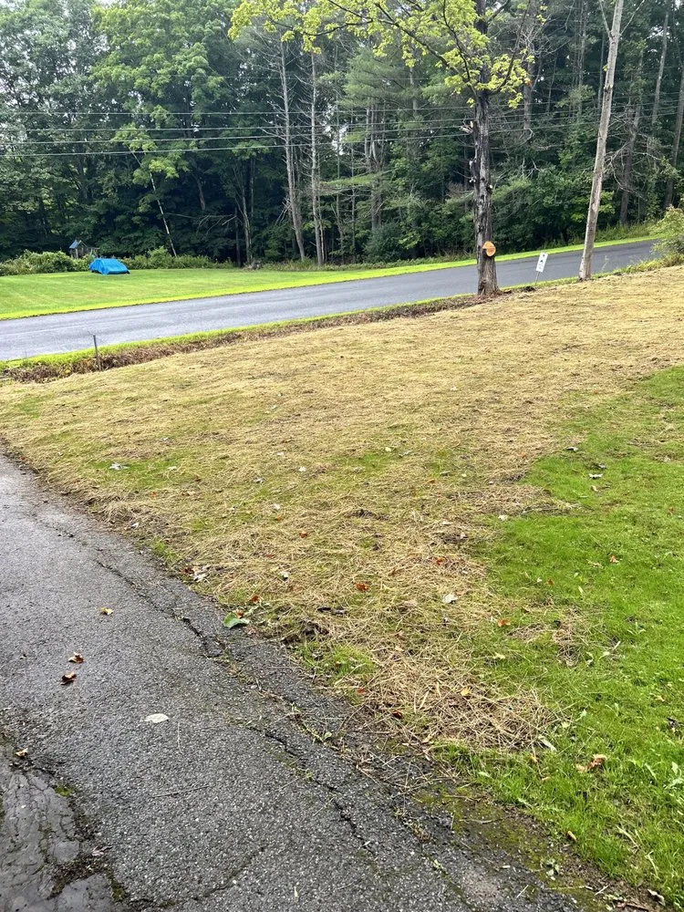 Local lawn care service near you across Claremont, NH - CT Property Solutions