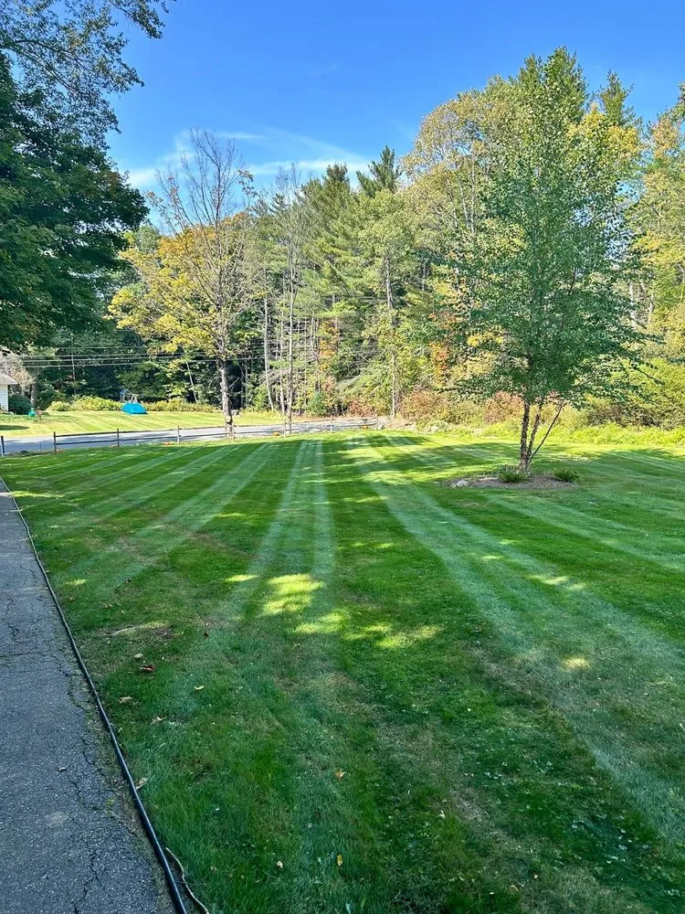 Trusted yard cleanup service in Claremont, NH - CT Property Solutions