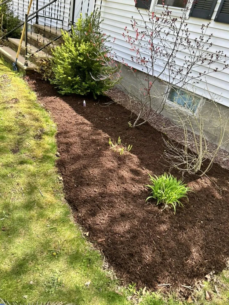 Expert yard cleanup service in Claremont, NH by CT Property Solutions