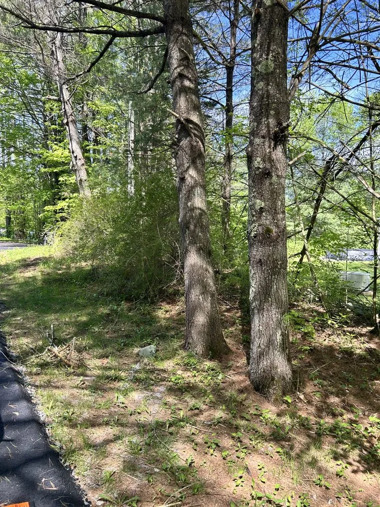 Affordable landscape installation with custom design across Claremont, NH - CT Property Solutions