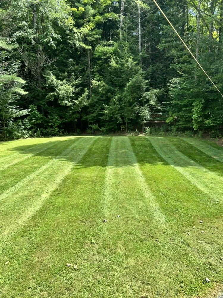 Local landscaping services for residential properties across Claremont, NH - CT Property Solutions