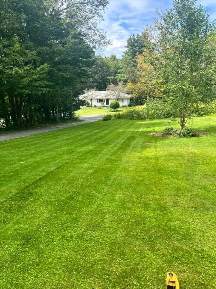 Local landscaping services in Claremont, NH - CT Property Solutions