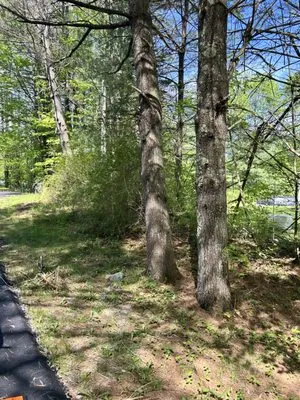 CT Property Solutions