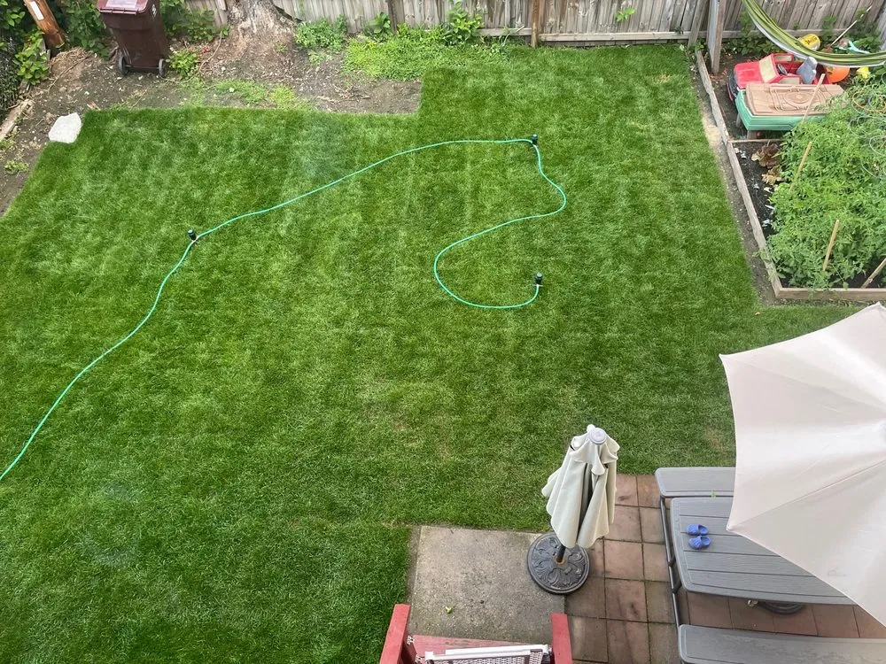 Professional yard cleanup service in Milford, CT - CT SOD