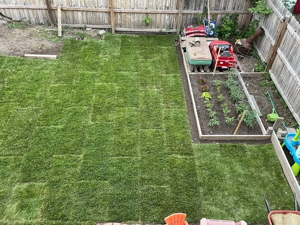 Expert lawn care service in Milford, CT - CT SOD