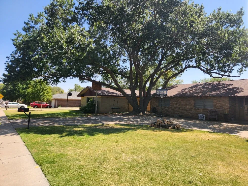 Custom landscaping services for residential properties across Amarillo, TX - C&T Tree and Landscape