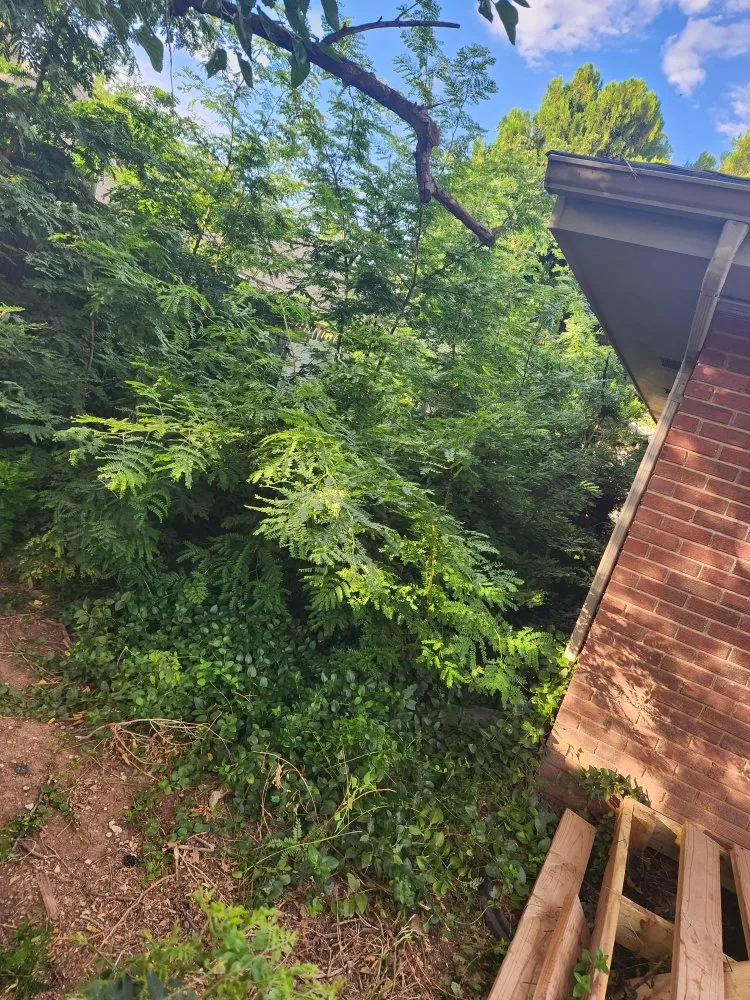 Custom outdoor landscaping near you in Amarillo, TX by C&T Tree and Landscape