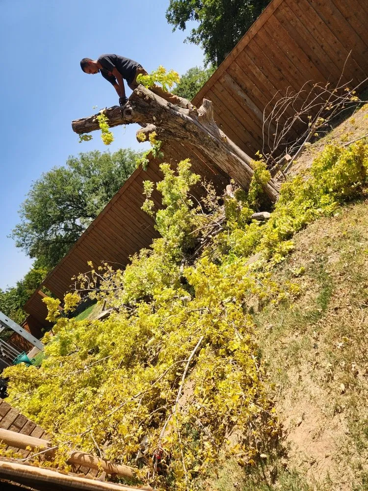 Professional lawn mowing service near you across Amarillo, TX - C&T Tree and Landscape