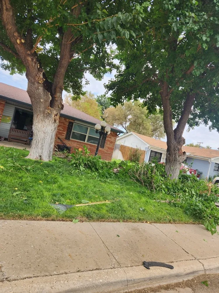 Reliable landscaping services in Amarillo, TX by C&T Tree and Landscape