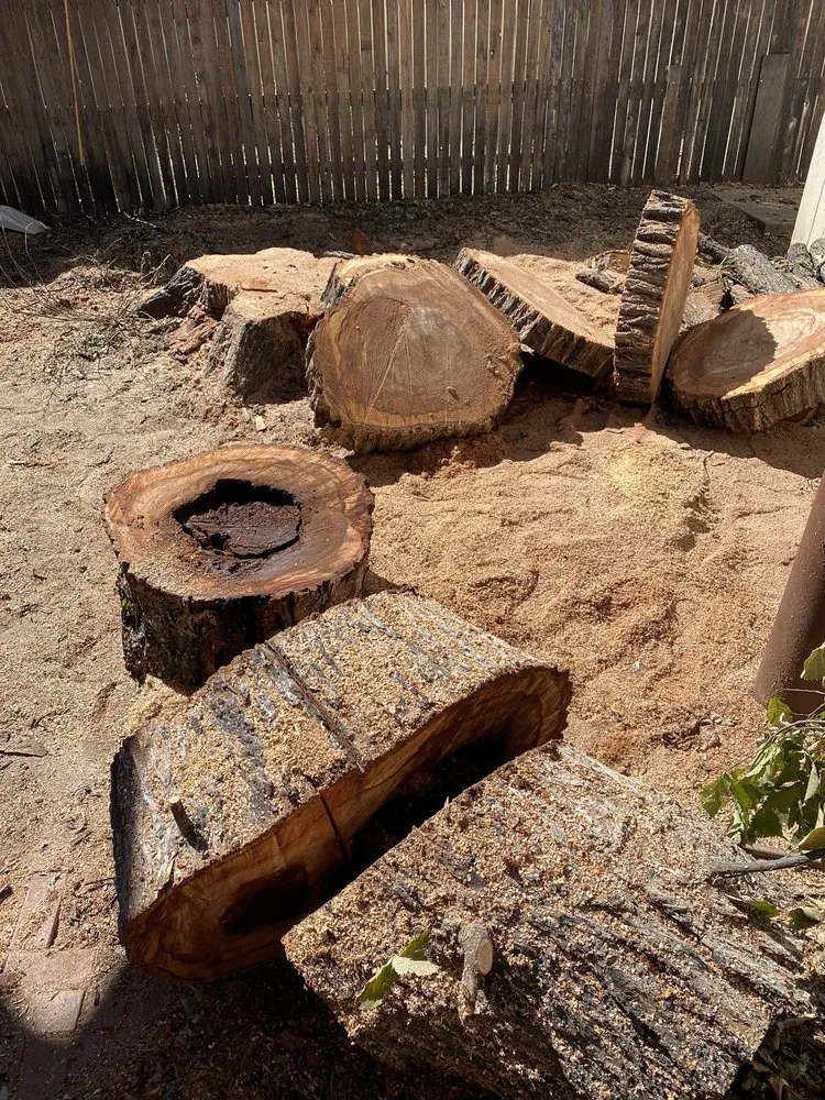 Affordable landscaping services experts serving Amarillo, TX - C&T Tree and Landscape