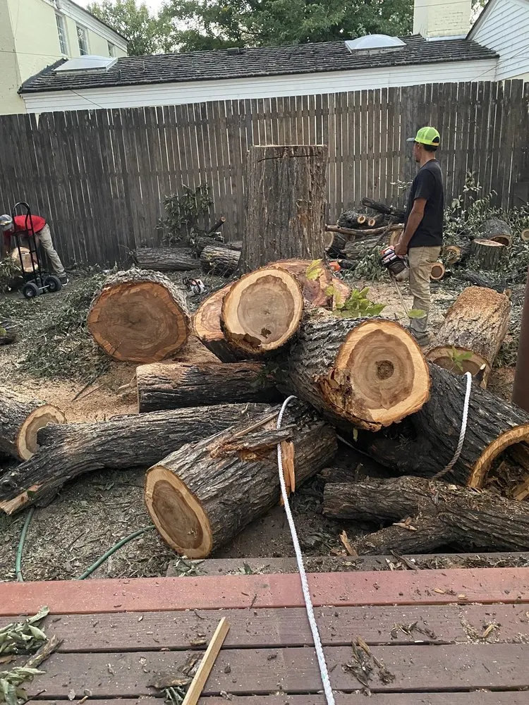 Expert lawn care service in Amarillo, TX by C&T Tree and Landscape