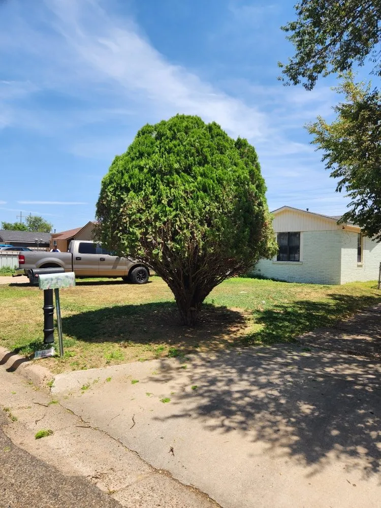 Trusted outdoor landscaping in Amarillo, TX by C&T Tree and Landscape