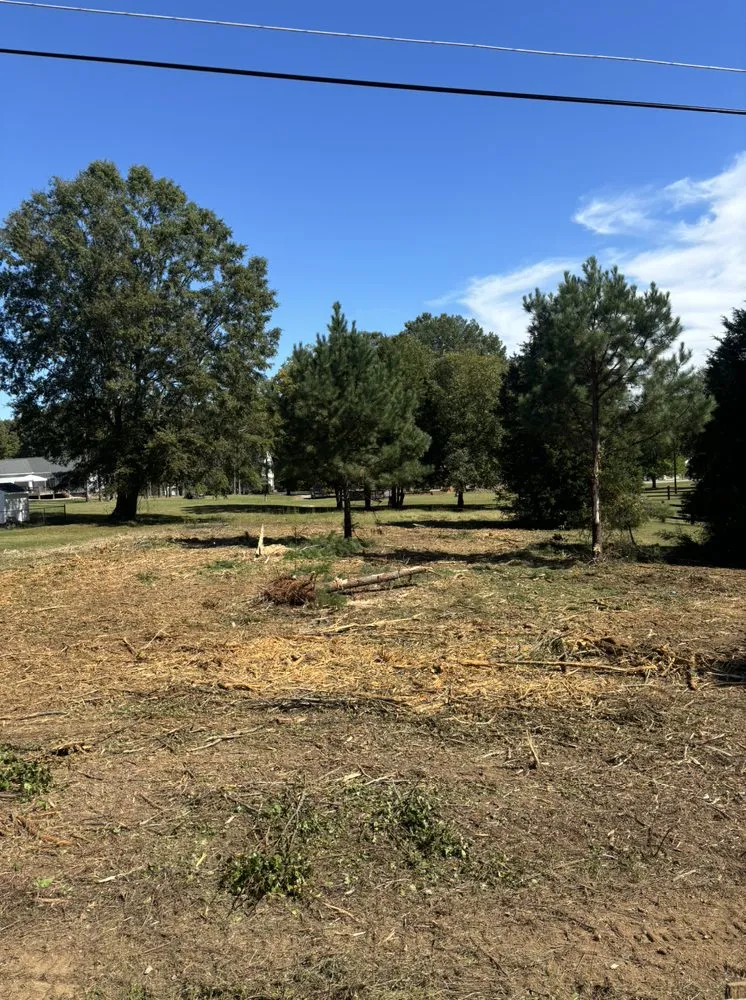 Reliable yard cleanup service in Salisbury, NC by C&T turbo transportation