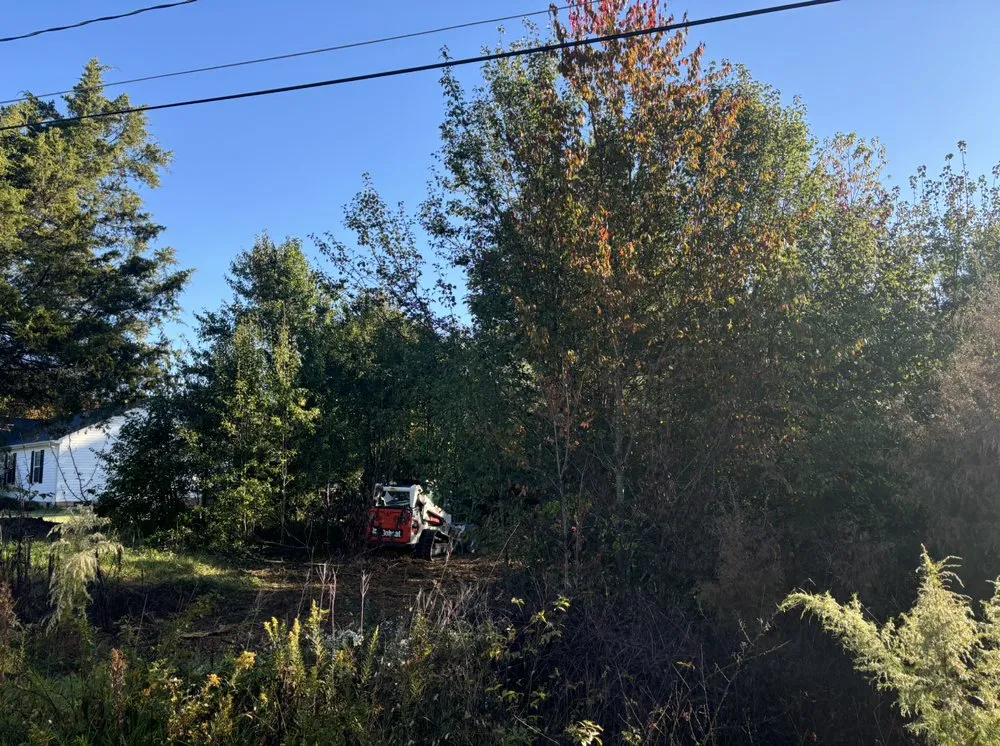 Professional garden landscaping in Salisbury, NC - C&T turbo transportation