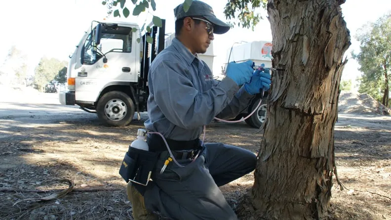 Local landscape installation experts serving Menifee, CA - Ctai Pacific Greenscape