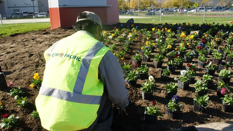 Affordable garden landscaping experts serving Menifee, CA - Ctai Pacific Greenscape