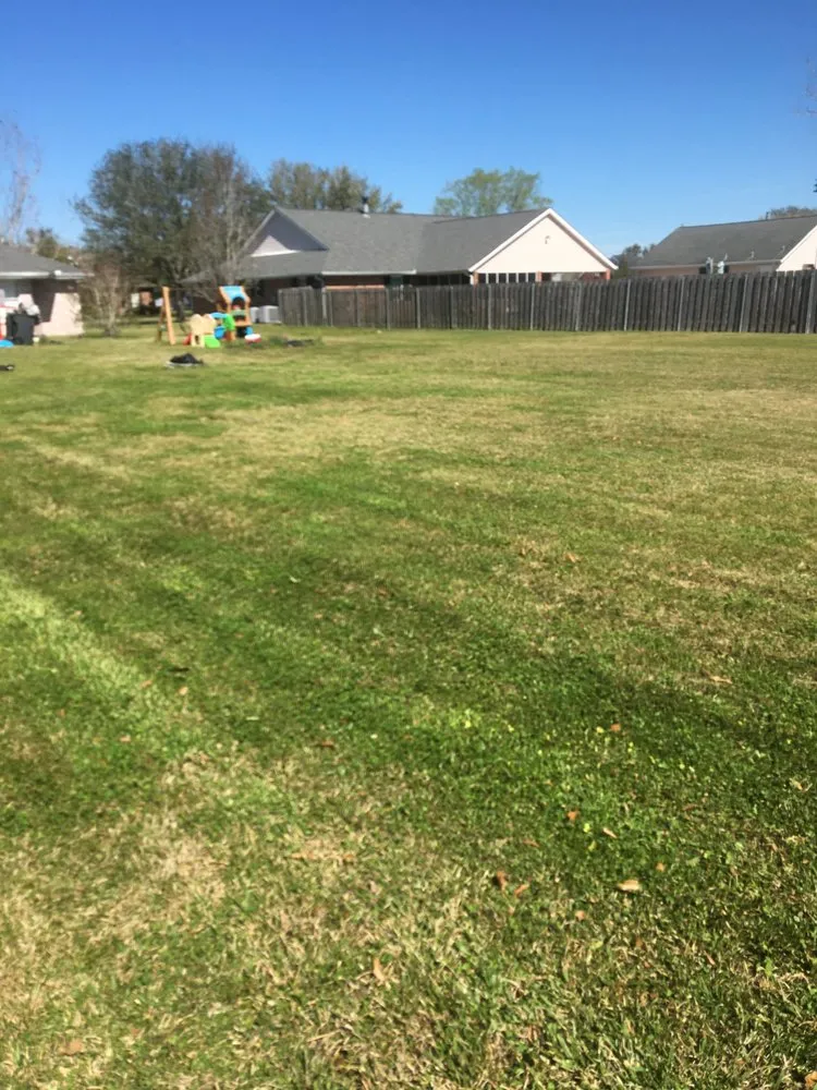 Expert landscaping services experts serving Thibodaux, LA - Ctb Lawn Services