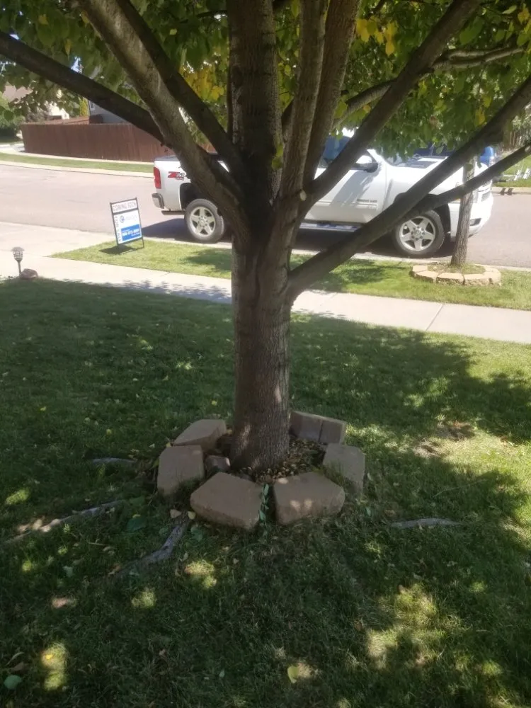 Local outdoor landscaping for residential properties across Colorado Springs, CO - CTC Yard Service