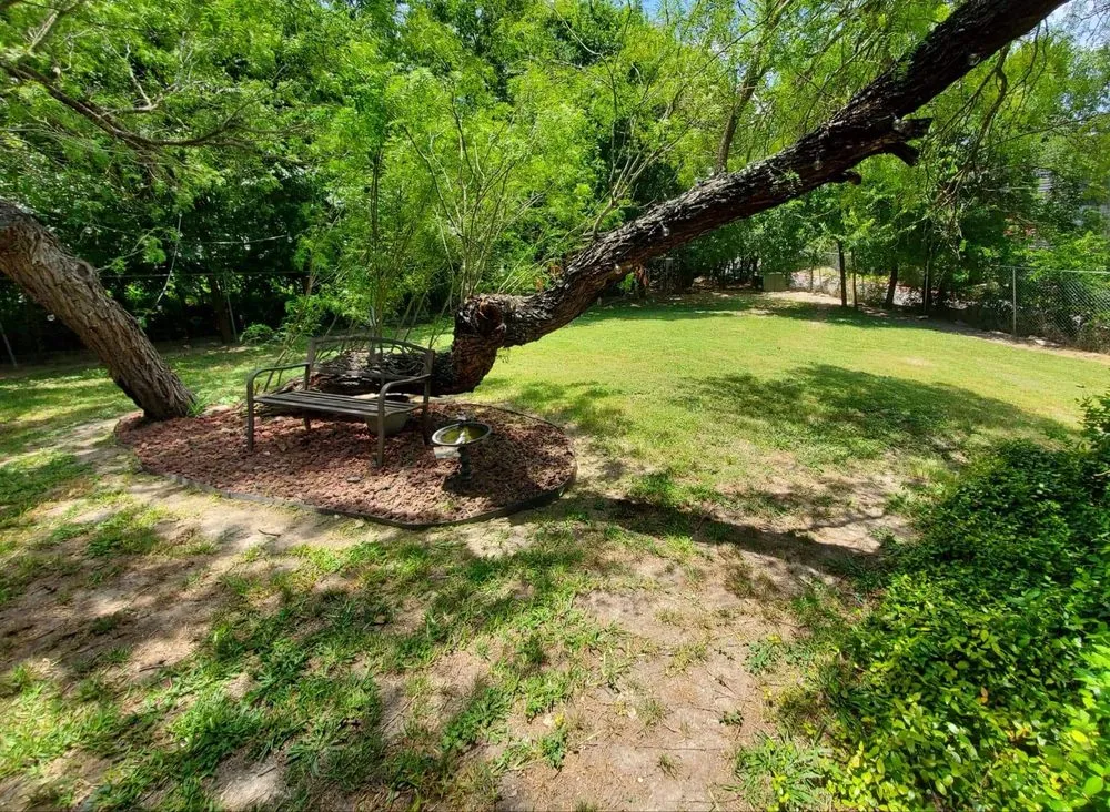 Top-rated yard maintenance in San Antonio, TX by CTD Lawn Care