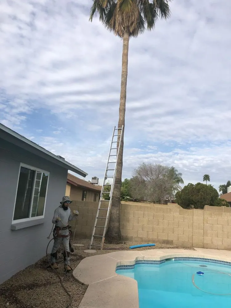 Reliable garden landscaping in Scottsdale, AZ by CTL Landscaping And Tree Removal