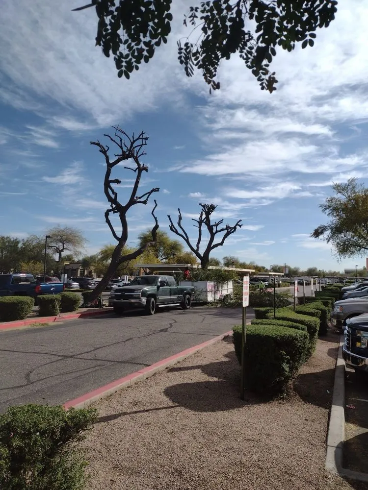 Affordable residential landscaping in Scottsdale, AZ - CTL Landscaping And Tree Removal