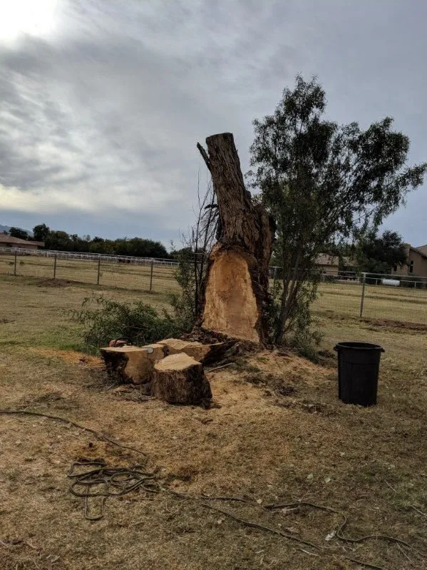 Reliable landscape installation with custom design across Scottsdale, AZ - CTL Landscaping And Tree Removal