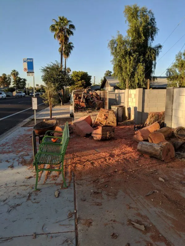 Top-rated landscape installation in Scottsdale, AZ - CTL Landscaping And Tree Removal