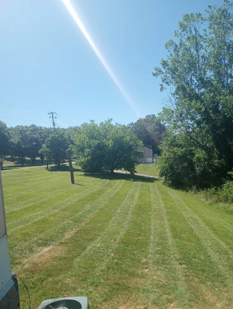 Expert yard cleanup service for residential properties across Corryton, TN - CTN Lawn Care