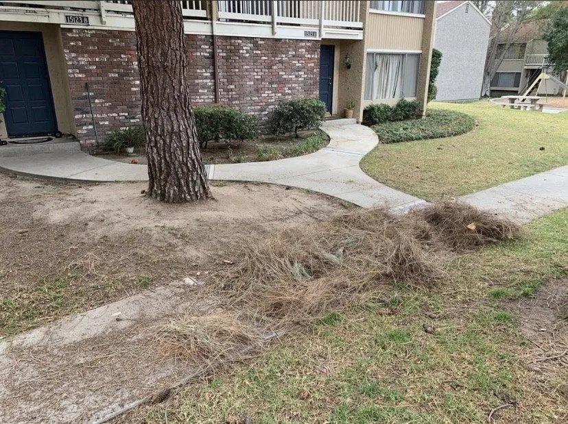 Local landscape design for beautiful yards across Moorpark, CA - CTR Landscaping Services