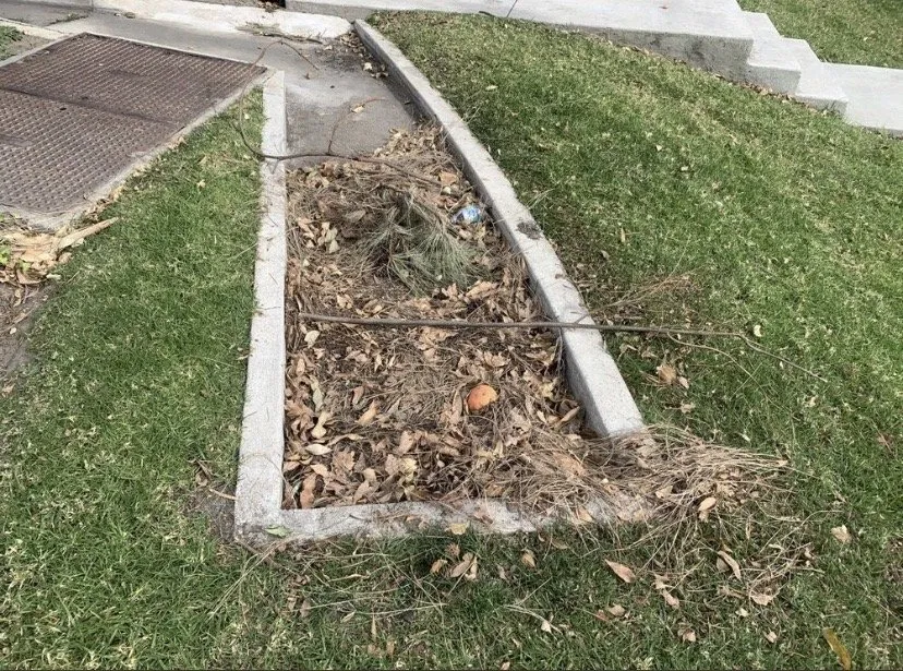 Top-rated garden landscaping for beautiful yards in Moorpark, CA by CTR Landscaping Services