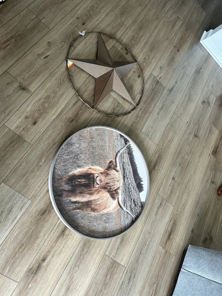 Trusted lawn care service in Columbia, SC by CT's Handymen & More