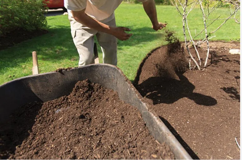 Local landscaping services for outdoor upgrades across Little River, SC - CTS Landscape & Grounds Management