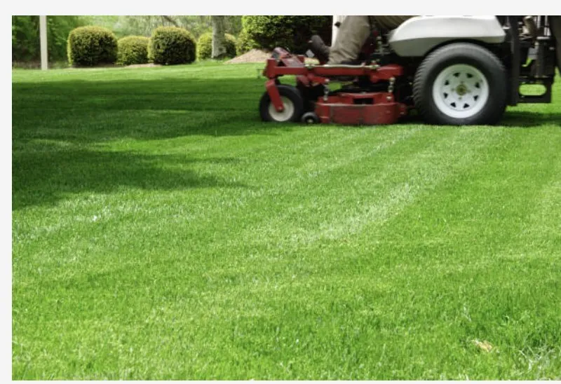 Affordable residential landscaping with custom design in Little River, SC by CTS Landscape & Grounds Management