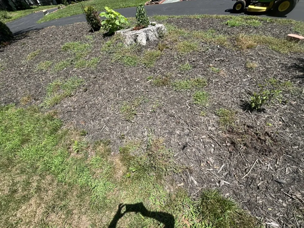 Affordable landscape design in Martinsville, VA by CTs Refined Outdoors & Interiors