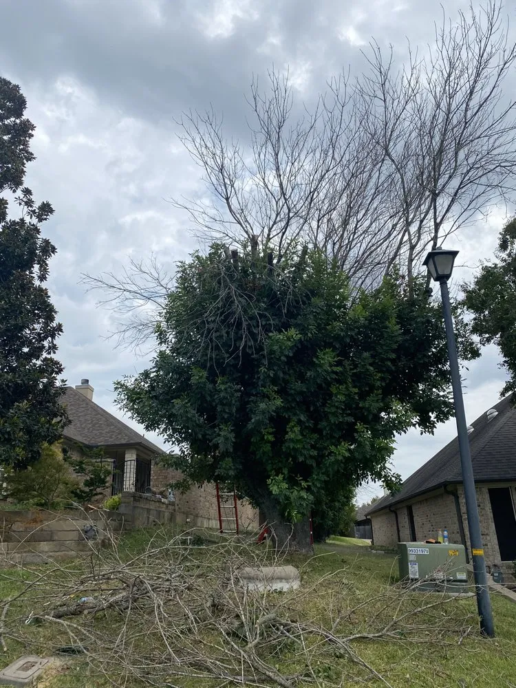 Professional outdoor landscaping for outdoor upgrades in Temple, TX by CTX Lawn Solutions