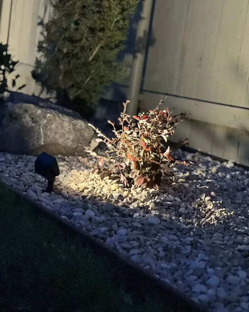 Professional residential landscaping in Georgetown, TX - CTX Mowing & Landscaping