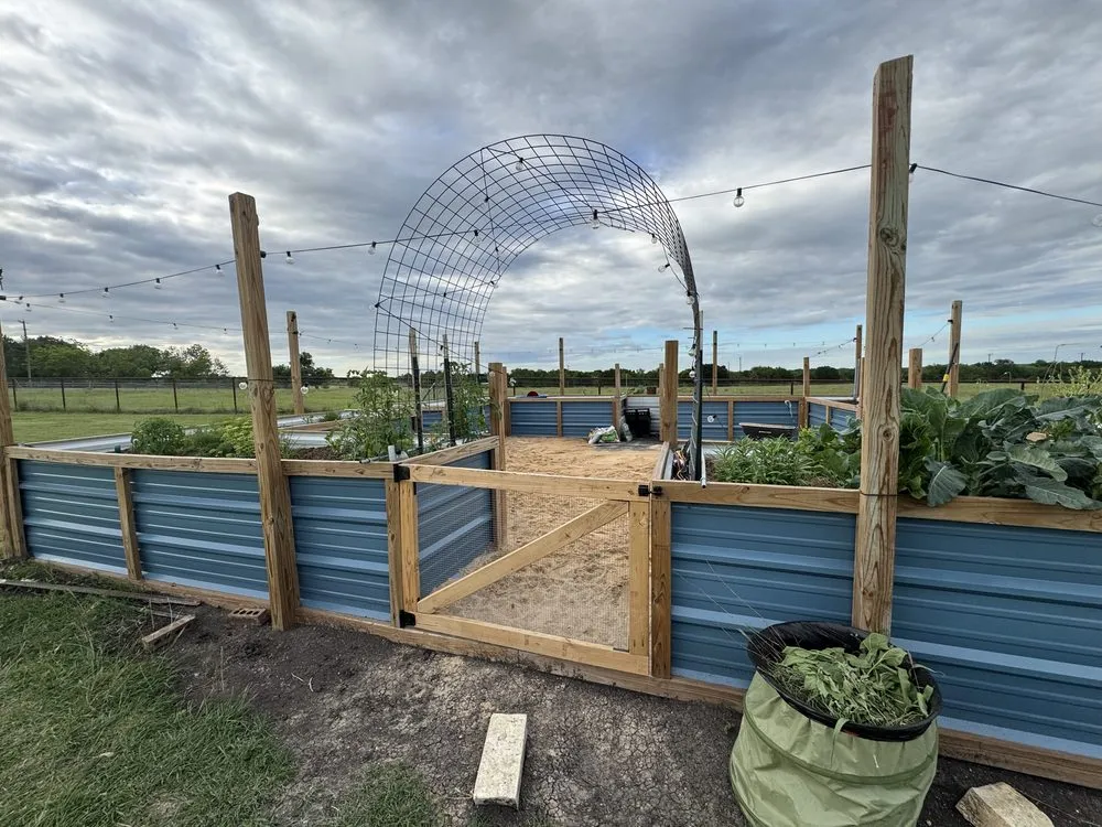 Affordable yard cleanup service in Troy, TX by CTX Turf Wars