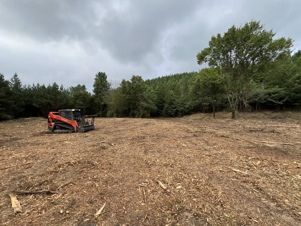 Expert yard cleanup service for year-round maintenance in Canton, GA by Ctz