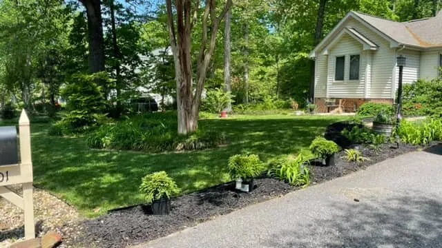 Expert landscaping services near you in Richmond, VA by Cuadra's Landscape