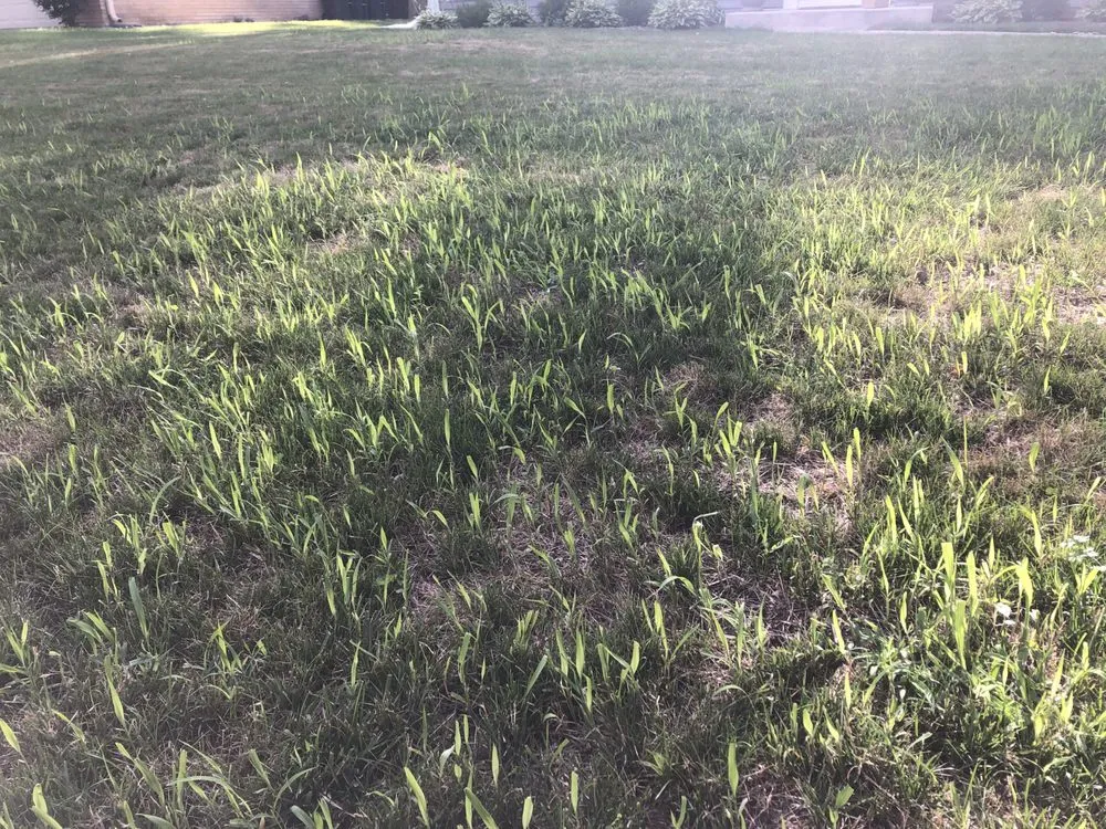 Custom landscape installation with custom design in Hoffman Estates, IL by Cubilete NDS Landscaping