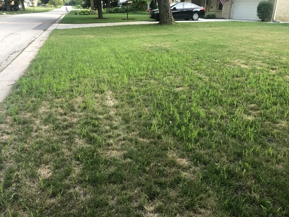 Affordable yard cleanup service near you in Hoffman Estates, IL by Cubilete NDS Landscaping