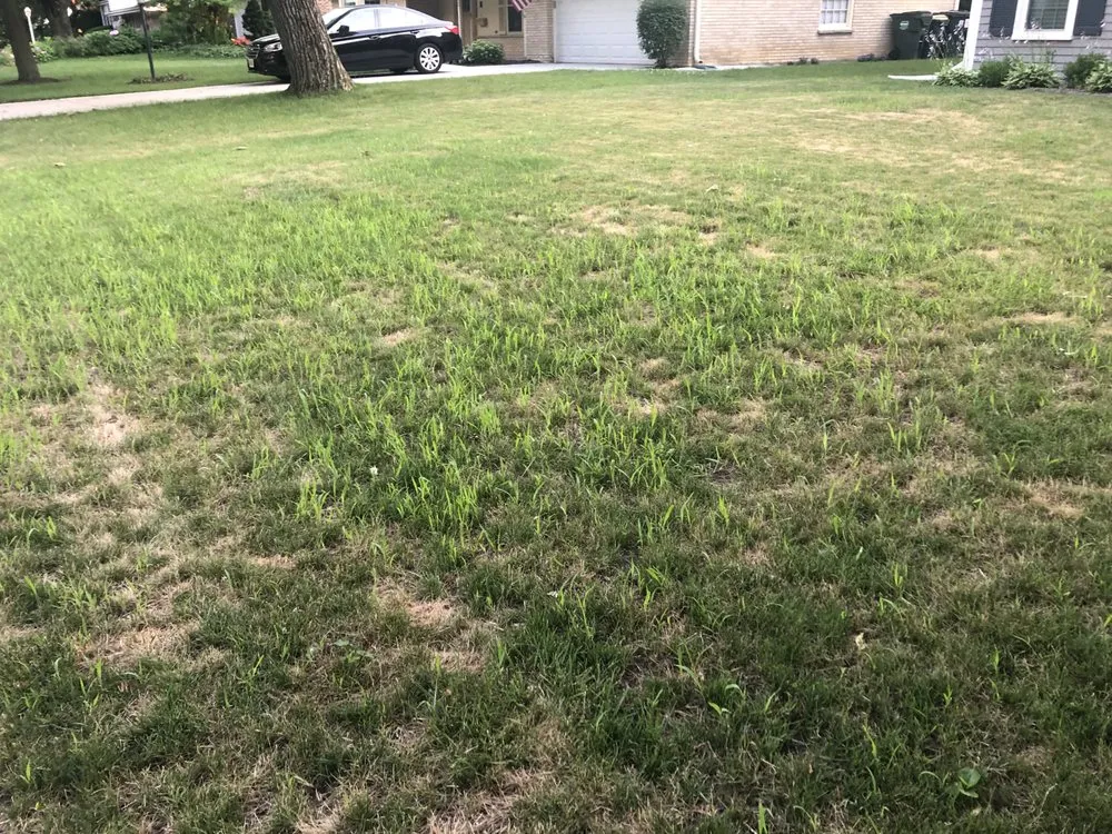 Top-rated residential landscaping near you across Hoffman Estates, IL - Cubilete NDS Landscaping