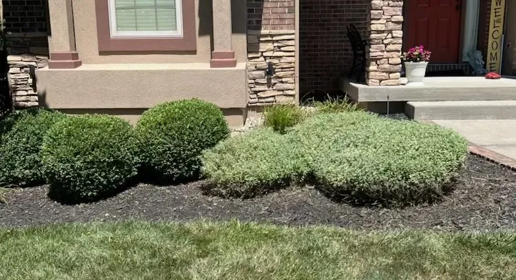 Affordable garden landscaping for year-round maintenance in Liberty, MO by Cuc Landscaping