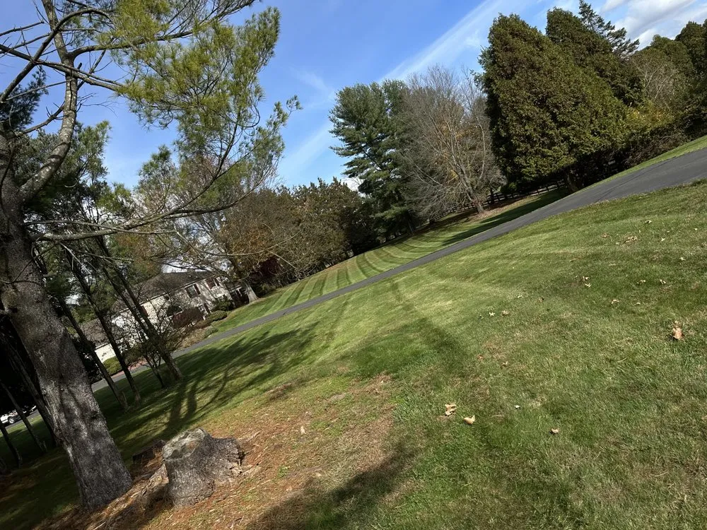 Professional yard cleanup service experts serving Flemington, NJ - Cucchiaro Construction And Landscaping