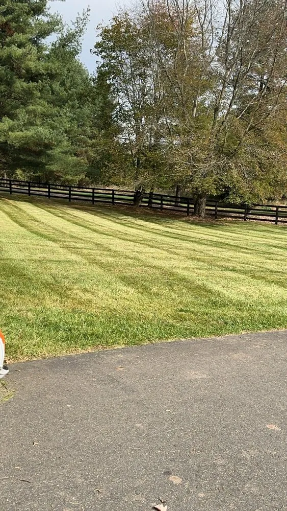 Custom lawn care service with custom design across Flemington, NJ - Cucchiaro Construction And Landscaping