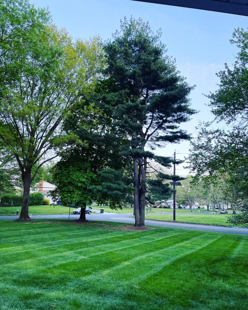 Top-rated outdoor landscaping in Flemington, NJ by Cucchiaro Construction And Landscaping