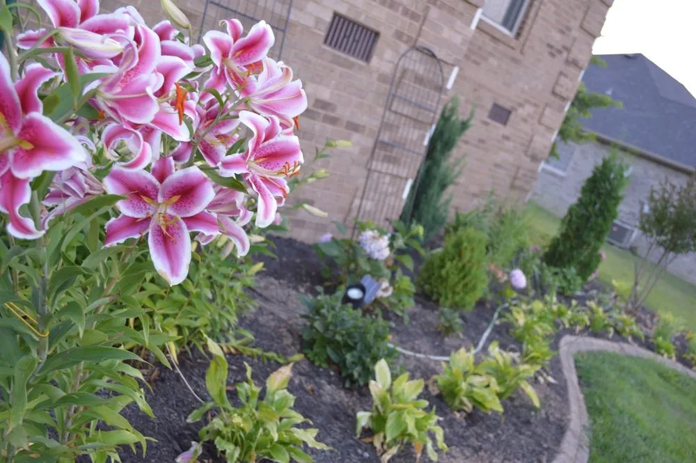 Professional lawn care service for homes across Winchester, KY - Cuccinelli Landscaping